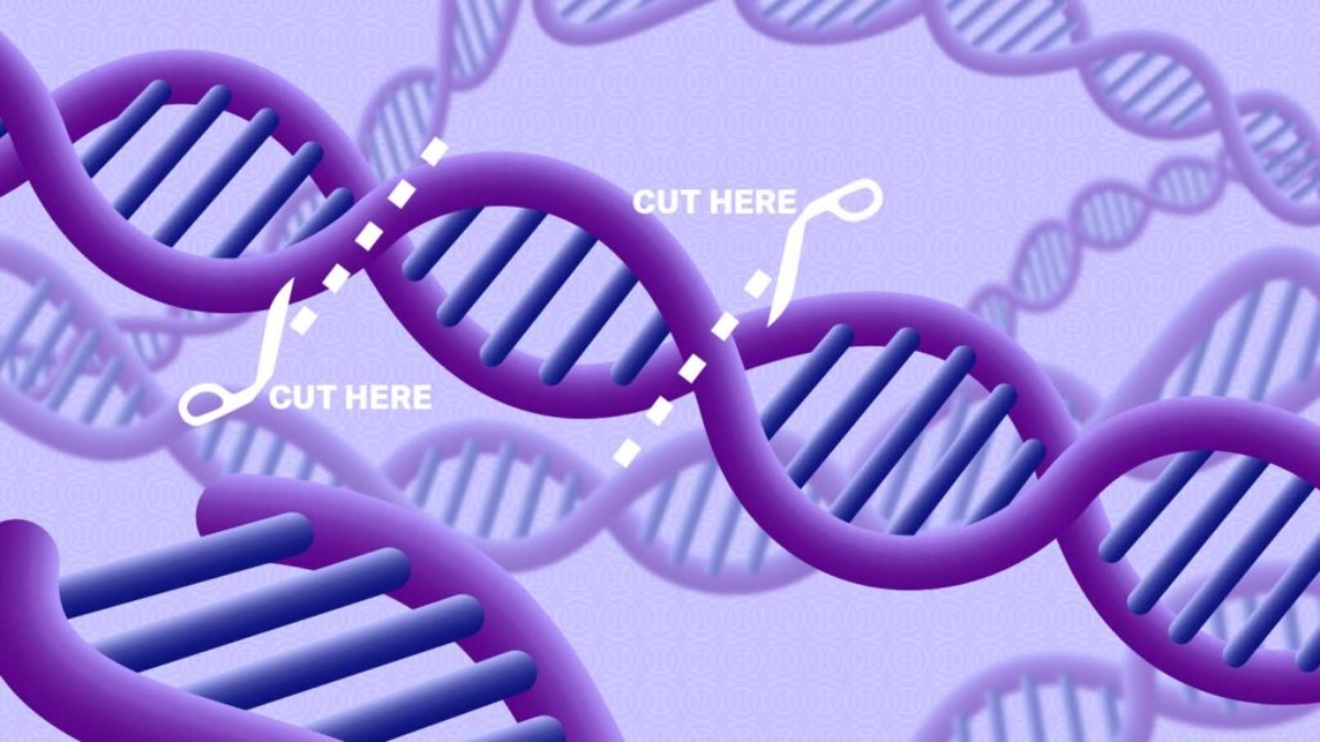  CRISPR 2.0: Μια νέα γενιά γονιδιακών επεξεργαστών δοκιμάζεται σε κλινικές δοκιμές