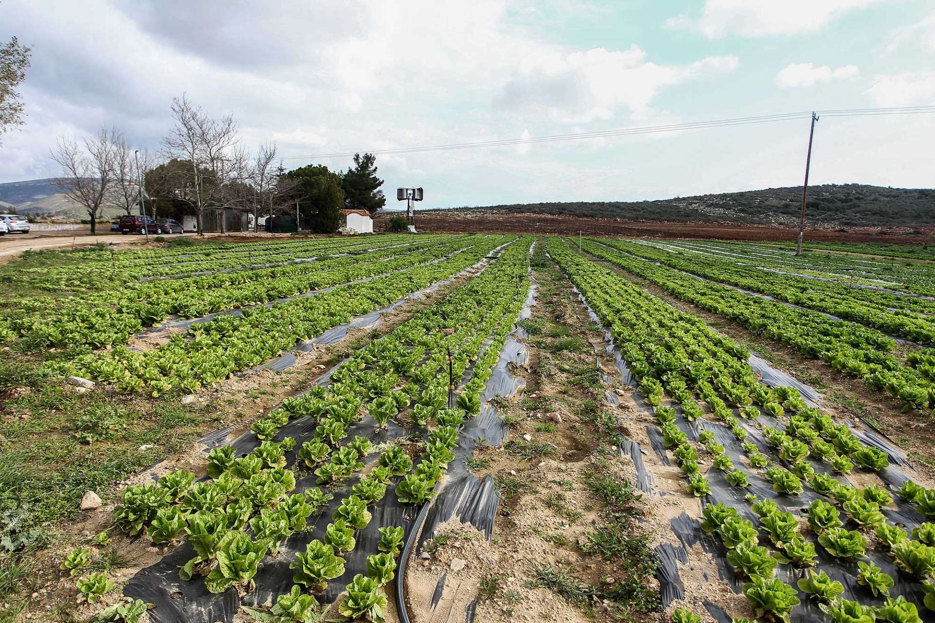  Δάνεια έως 25.000 ευρώ σε αγρότες με επιδότηση επιτοκίου