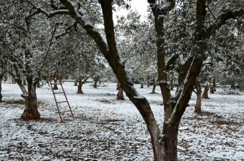  Έρχονται κρύο και χιόνια το Σάββατο και στην Αττική – Ποιες άλλες περιοχές θα επηρεαστούν — Αναλυτική πρόγνωση