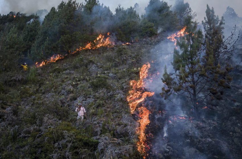  Σε κατάσταση συναγερμού η Κολομβία λόγω πυρκαγιών και καύσωνα – Σε εξέλιξη 21 πυρκαγιές