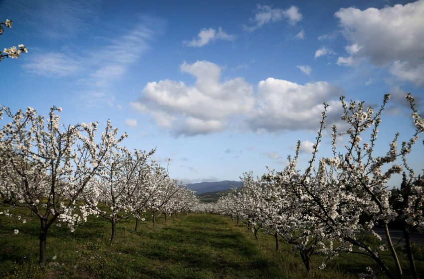  Σήμερα η εαρινή ισημερία στην Ελλάδα, αλλά όχι η ίση διάρκεια ημέρας και νύχτας – Ειδικοί εξηγούν το φαινόμενο