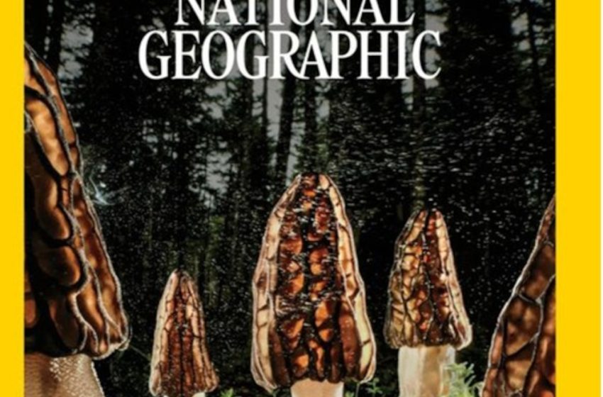  Εξώφυλλο στο National Geographic φωτογραφίες του Α. Παπατσάνη από τη Δεσκάτη Γρεβενών