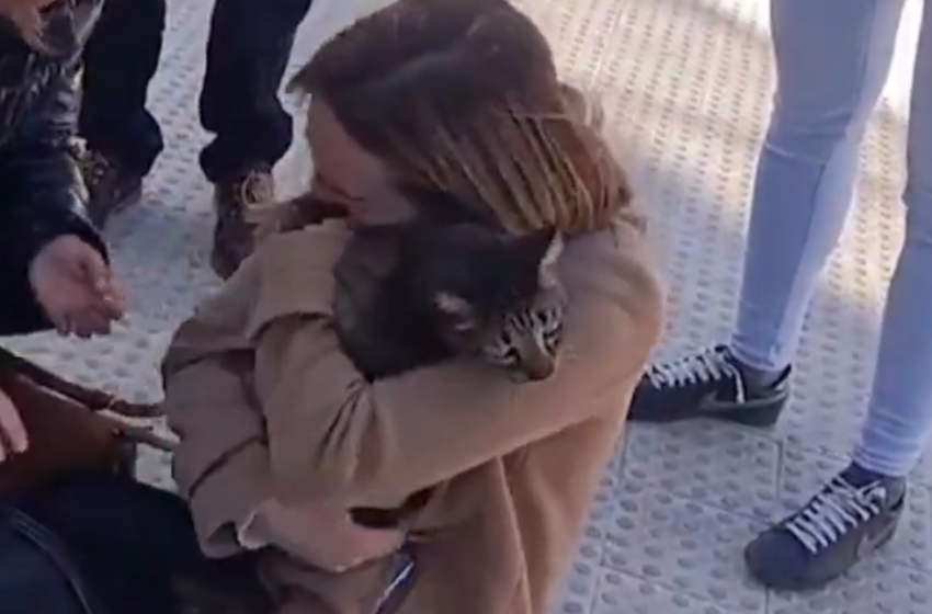  Το θαύμα του Κόκο: Γάτος βρέθηκε ζωντανός στα αποκαΐδια της Βαλένθιας (video)