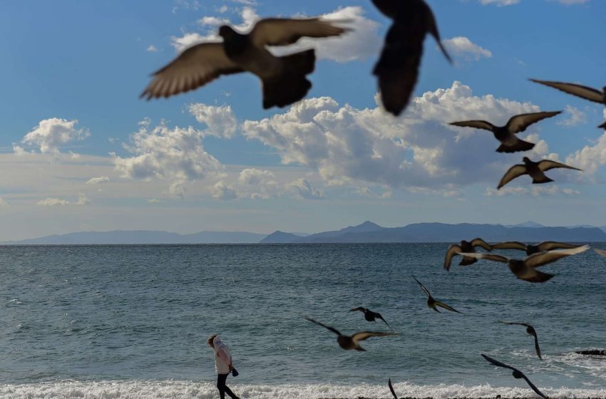  Πρόγνωση καιρού: Γενικά αίθριος, έρχονται βοριάδες για ημέρες στο Αιγαίο – Πρόβλεψη για τη Μεγάλη Εβδομάδα