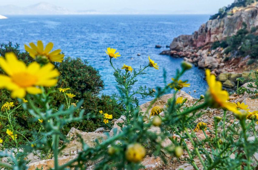  Πρόγνωση καιρού: Ζεστή η Κυριακή με πρόσκαιρη αλλαγή στα ανατολικά