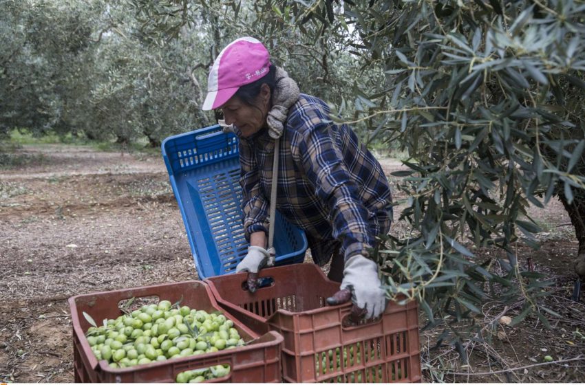  Πριν το Πάσχα «ανοίγει» η Κάρτα του Αγρότη