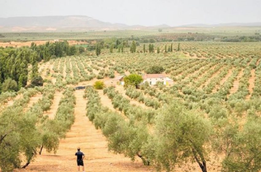  Πρωτόκολλο συνεργασίας του Ενιαίου Φορέα Ελέγχου Τροφίμων και της Περιφέρειας Κρήτης