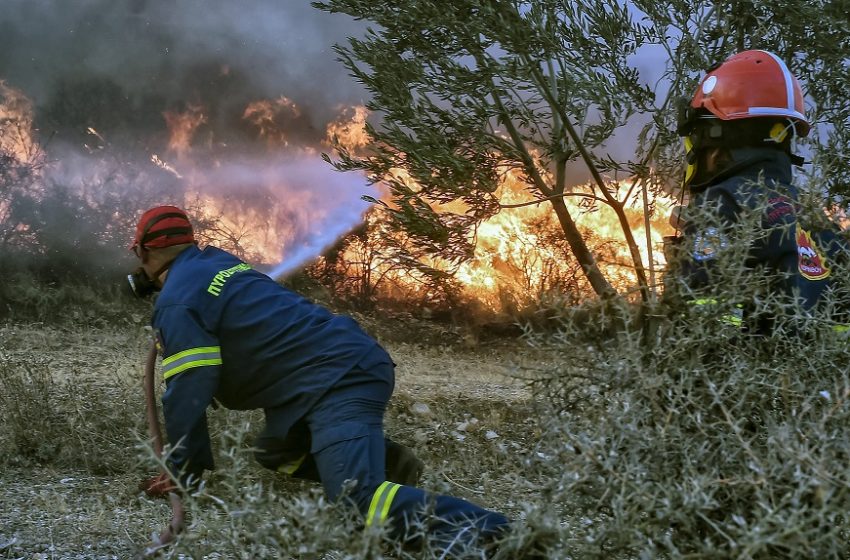  Πυροσβεστική: 73 φωτιές το τελευταίο 24ωρο σε όλη τη χώρα