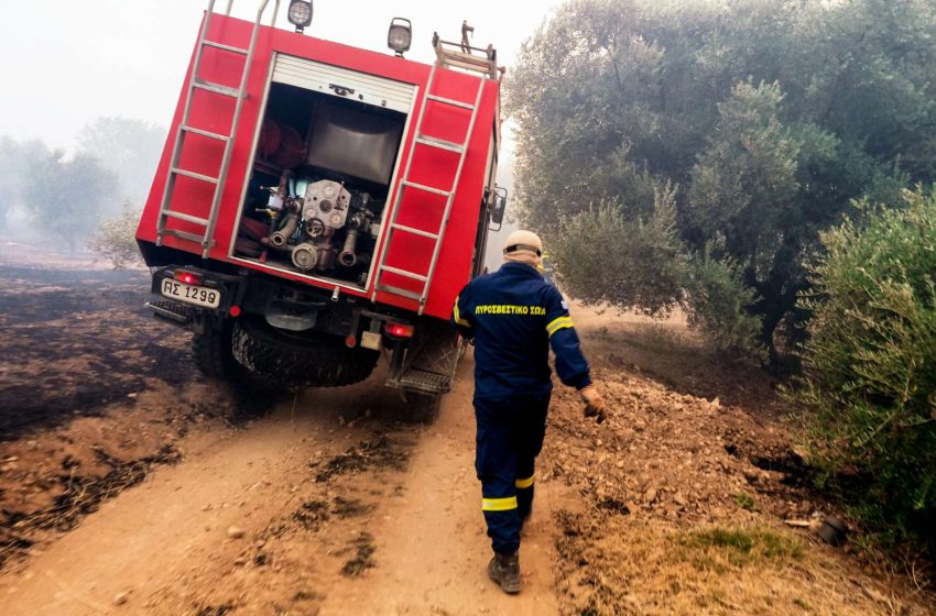  Φωτιά στον Αλμυροπόταμο Ευβοίας: Αρκετές διάσπαρτες εστίες, χωρίς μεγάλο μέτωπο