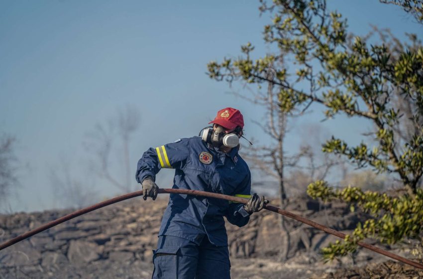  Φωτιά στην Ηλεία: 112 για τους κατοίκους σε Μυρτιά και Σκουροχώρι