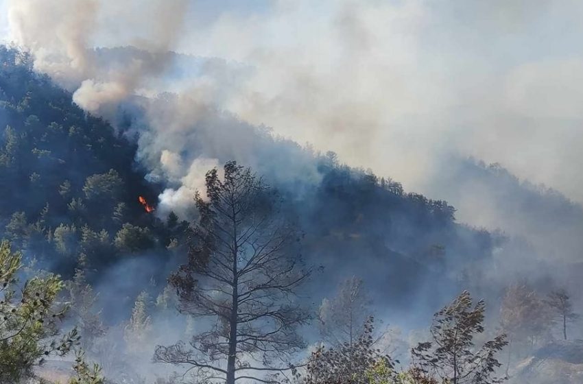  Φλέγεται πάλι η Κύπρος – Συνολικά 24 πυρκαγιές σε μία ημέρα