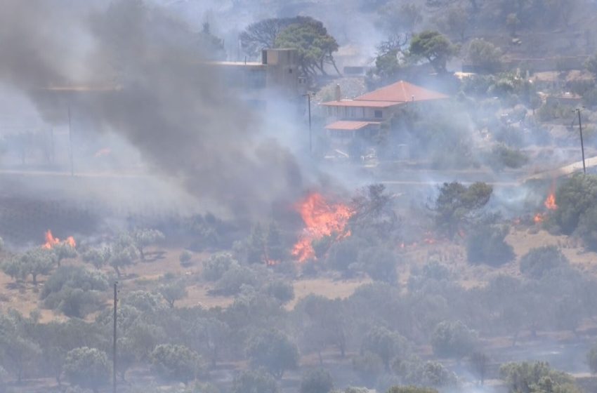  Πυρκαγιά στην Πλάκα Κερατέας: 52 απεγκλωβισμοί και δεκάδες εκκενώσεις