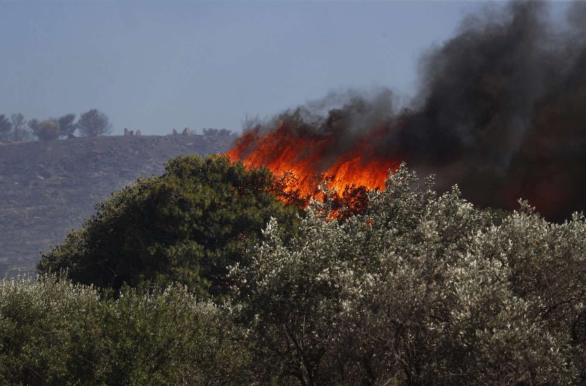  Εύβοια: Φωτιά σε χαμηλή βλάστηση στην Κάρυστο – Επιχειρούν και εναέρια μέσα