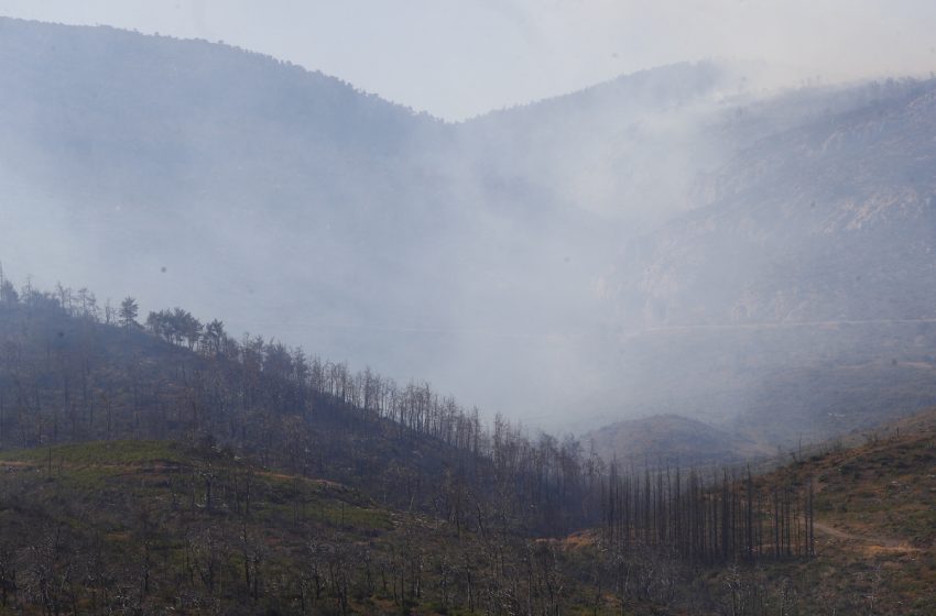  Φωτιά στην Πάρνηθα – Κικίλιας: «Χωρίς ενεργό μέτωπο, διάσπαρτες εστίες θα δουλευτούν όλο το βράδυ»