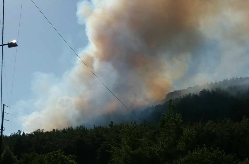  Πυροσβεστική: 31 αγροτοδασικές πυρκαγιές σε όλη την χώρα το τελευταίο 24ωρο
