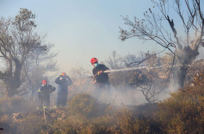  Πυρκαγιά σε χαμηλή βλάστηση στην Ελλοπία Βοιωτίας