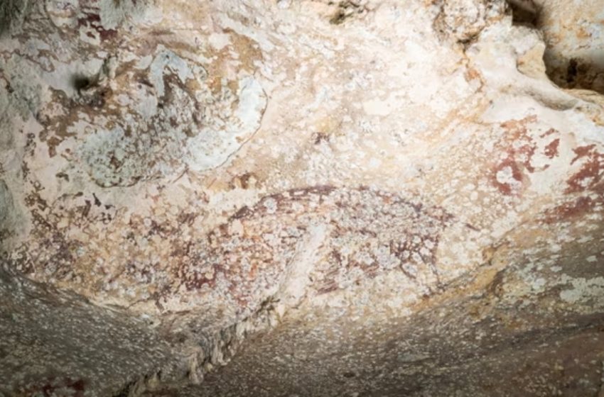  Ινδονησία: Βρέθηκε η παλαιότερη σπηλαιογραφία στον κόσμο