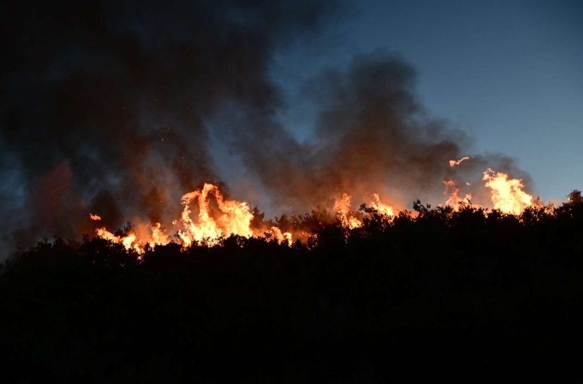  Πυροσβεστική: 50 αγροτοδασικές πυρκαγιές το τελευταίο εικοσιτετράωρο σε όλη την χώρα