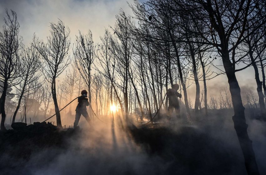  Μάχη με τις φλόγες στην Χίο, ενισχύονται οι δυνάμεις – Νέα φωτιά στον Δήμο Βιάννου, εστάλη 112 στους κατοίκους