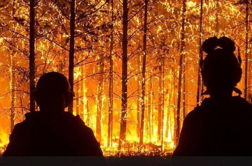  Ρωσία: Σε κατάσταση έκτακτης ανάγκης δύο περιοχές της Σιβηρίας λόγω δασικών πυρκαγιών