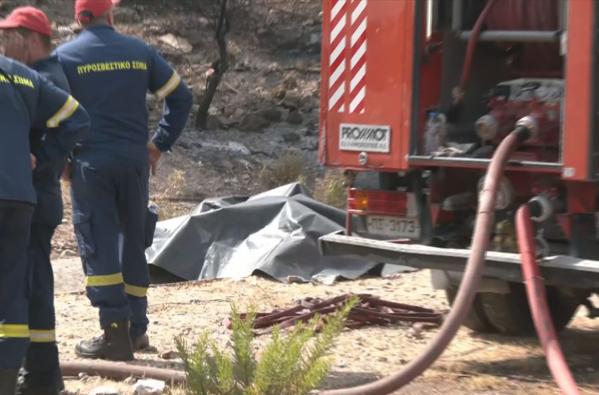  Μια σύλληψη για την πυρκαγιά σε δασική έκταση στα Γλυκά Νερά – Eπιβλήθηκε πρόστιμο 4.675 ευρώ