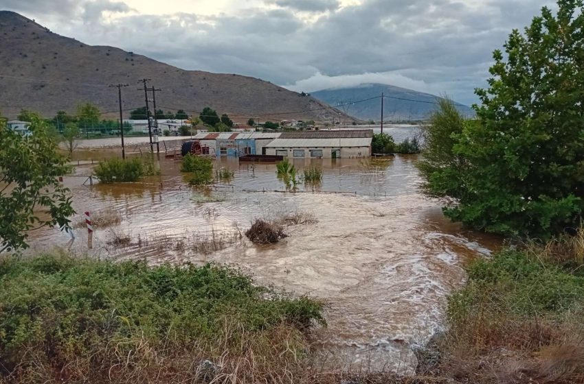  Τριαντόπουλος για πλημμύρες στη Θεσσαλία: 12.661 επιχειρήσεις και αγρότες έλαβαν την προκαταβολή της κρατικής αρωγής