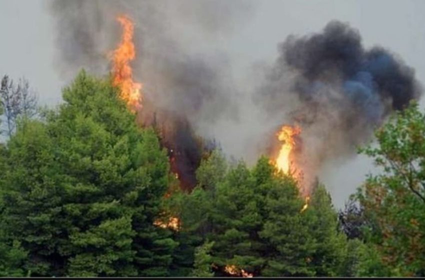  Φωτιές: Σοβαρή η κατάσταση στην Πρέβεζα, στάλθηκε «112» – Χωρίς ενεργό μέτωπο η φωτιά στη Λέσβο