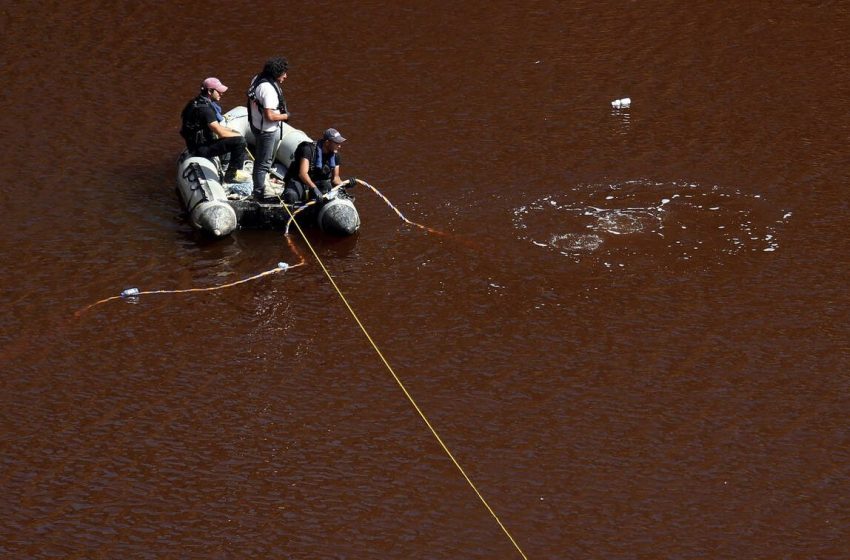  Ινδία: Νεκρός 14χρονος από αμοιβάδα που τρώει τον εγκέφαλο