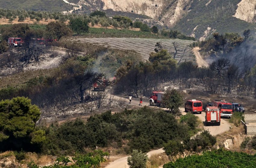  Χωρίς ενεργό μέτωπο η πυρκαγιά στην Στιμάγκα Κορινθίας – Κάηκαν αμπέλια