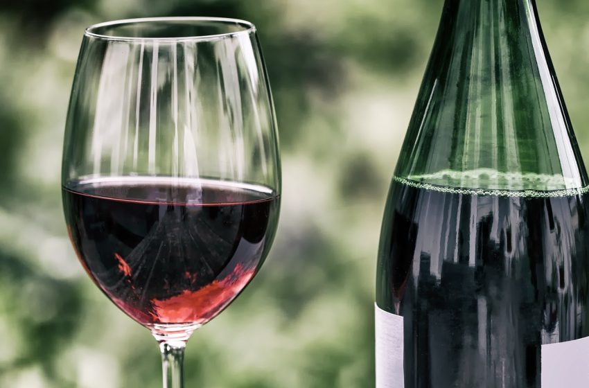  Πώς συνδέεται το κρασί με τους δεινόσαυρους;