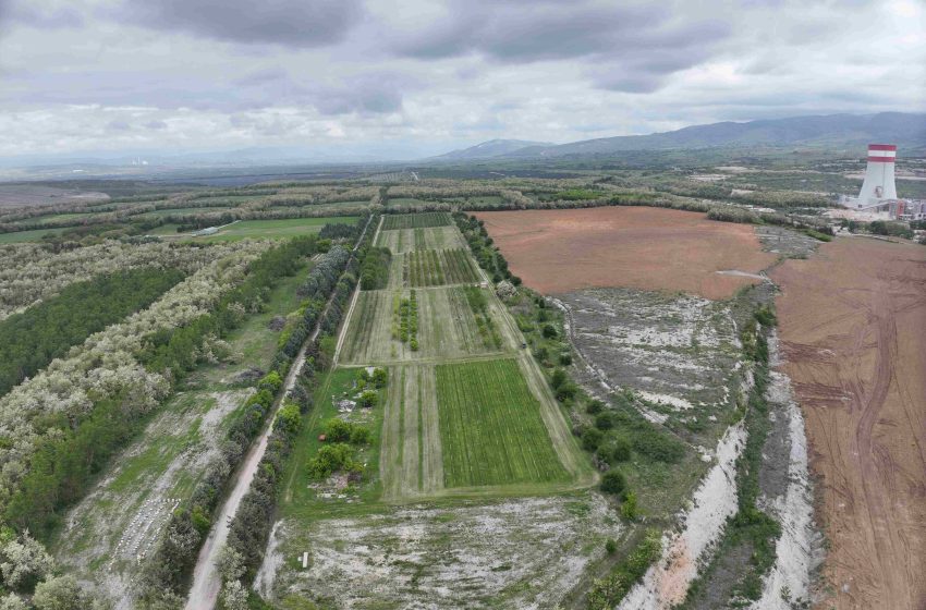  ΔΕΗ: Ιδρυτικό μέλος στην διεθνή πρωτοβουλία «Συμμαχία  για τη Βιώσιμη Διαχείριση της Βιοποικιλότητας»