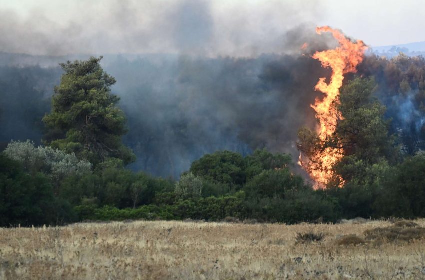  Χάρτης πρόβλεψης κινδύνου πυρκαγιάς – Τέσσερις περιοχές σε πολύ υψηλό κίνδυνο για τις 14 Αυγούστου