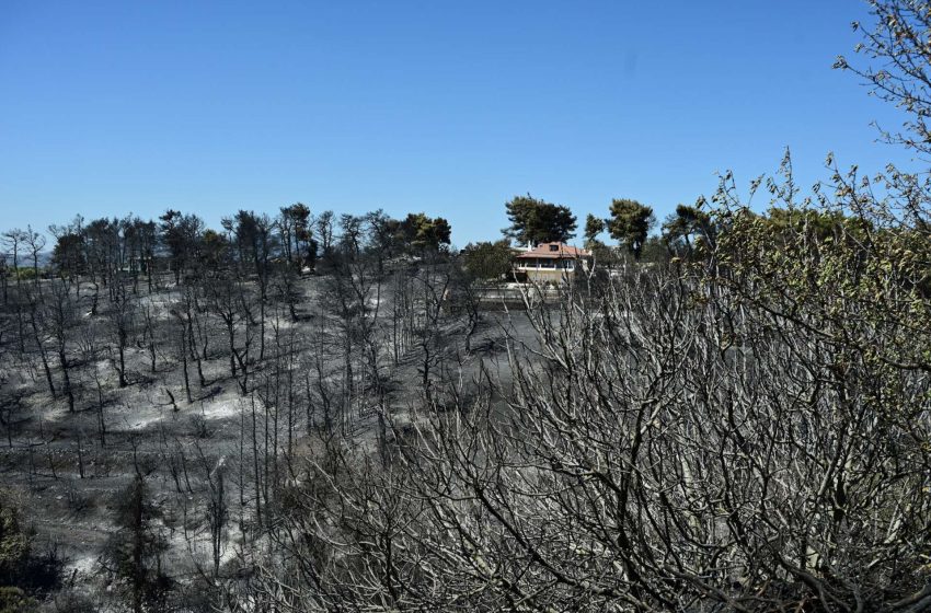  Σε ποιες περιοχές υπάρχει πολύ υψηλός κίνδυνος πυρκαγιάς (κατηγορία κινδύνου 4) για αύριο Σάββατο