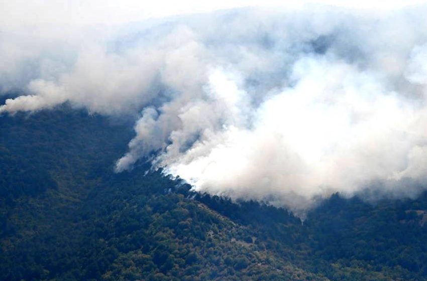  Ένας χρόνος από την καταστροφική πυρκαγιά στη Ροδόπη – Διαμαρτυρία από τους κατοίκους για καθυστέρηση αποζημιώσεων