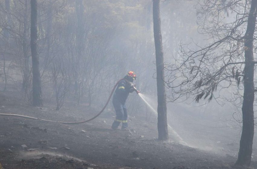  Φωτιά στην Αττική: Σε πάνω από 250 απεγκλωβισμούς ατόμων προχώρησε η αστυνομία