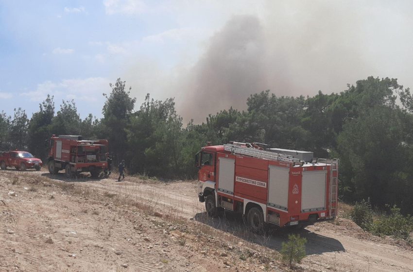  Πολύ υψηλός κίνδυνος πυρκαγιάς για σήμερα σε Ροδόπη και Ξάνθη