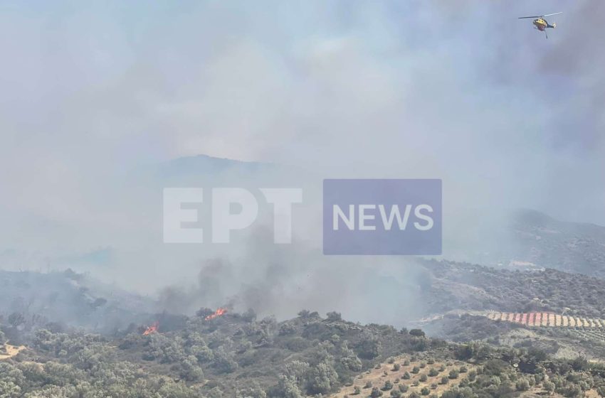  Στο νότιο Ρέθυμνο, όπου μαίνεται για δεύτερη μέρα η  πυρκαγιά, μεταβαίνει ο Β. Κικίλιας – Ενισχύονται οι δυνάμεις πυρόσβεσης