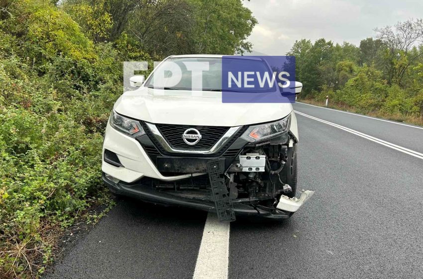  Καστοριά: Τροχαίο ατύχημα με νεκρό ζαρκάδι έξω από τους Αμπελόκηπους