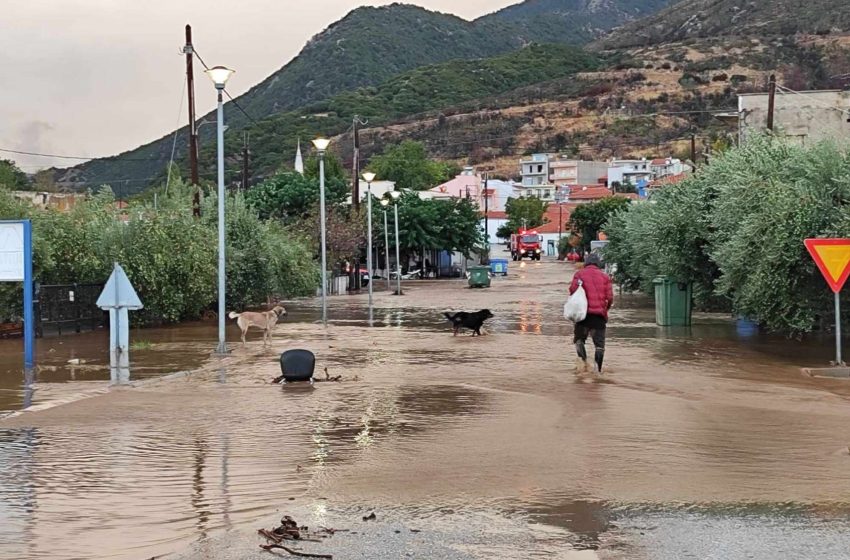  Μαθαίνοντας στην εκπαιδευτική κοινότητα να διαχειρίζονται τις πλημμύρες – Το φιλόδοξο πρόγραμμα του ΕΚΠΑ