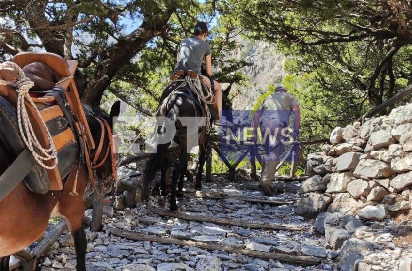  Αυτοψία Λέκκα στο φαράγγι της Σαμαριάς – «Με παρεμβάσεις μπορεί να αποδοθεί και πάλι στο κοινό. Θέλει μεγάλη προσοχή όμως»