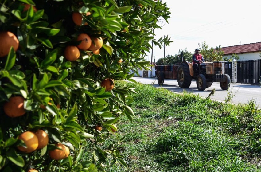  Κώστας Τσιάρας: Οι ενισχύσεις του ΟΠΕΚΕΠΕ θα καταβληθούν κανονικά