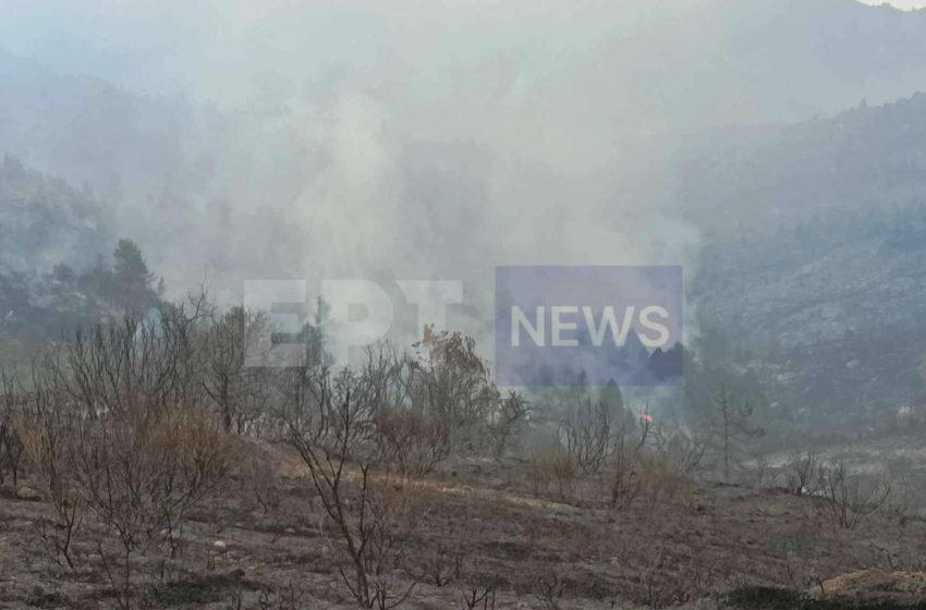  Αποκαρδιωτική η εικόνα της καταστροφής στην Κορινθία – Χιλιάδες στρέμματα δάσους και καλλιεργειών έγιναν στάχτη – Χωρίς νερό περιοχές