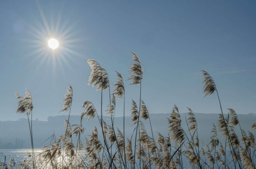  Καιρός: Ηλιόλουστο το Σαββατοκύριακο