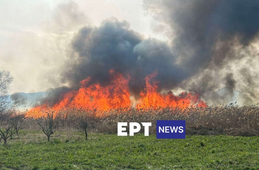  Μάχη με τις φλόγες στην Καστοριά – Πολλαπλά τα μέτωπα