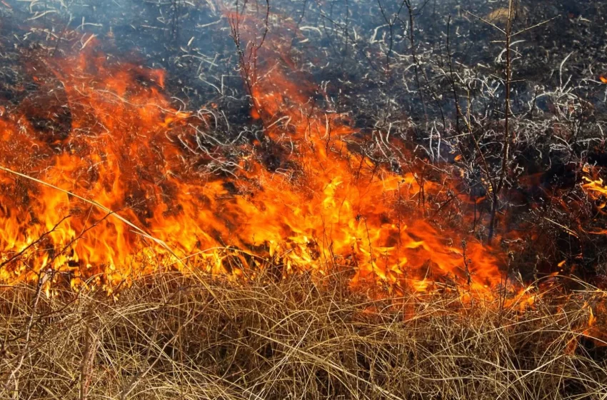  Απαγόρευση καύσης σε όλες τις περιοχές της Ελλάδας λόγω επικίνδυνων καιρικών συνθηκών